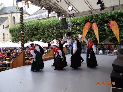 DSC04417.jpg